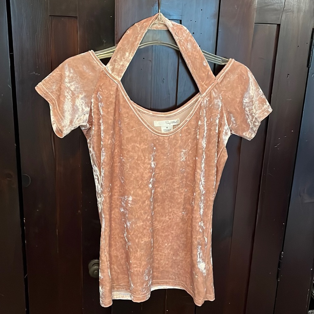 Free People Velvet Cold-Shoulder Top in Dusty Rose